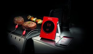 grilleye Thermometer Bluetooth 6 Sensoren - 6